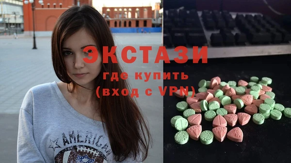 индика Коряжма