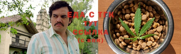 индика Коряжма