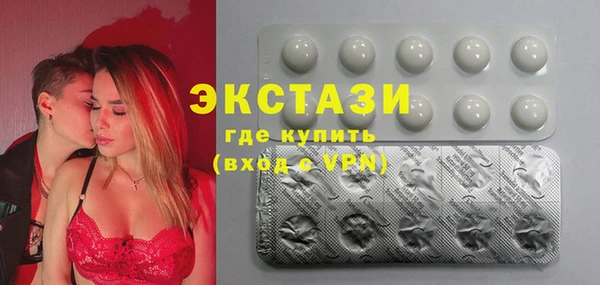 индика Коряжма