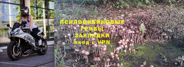 мяу мяу кристалл Корсаков